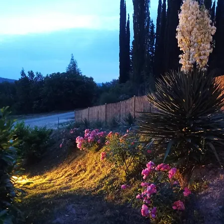 Villa Lucijano Dubrovnik Gruda